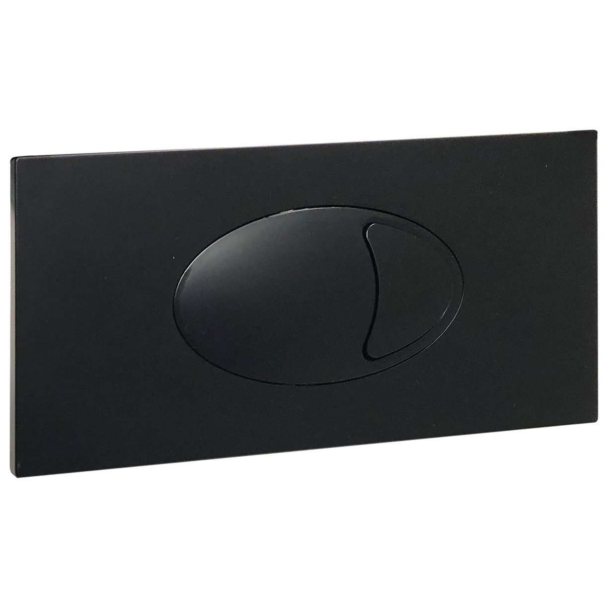 Large Dual Flush Plate
