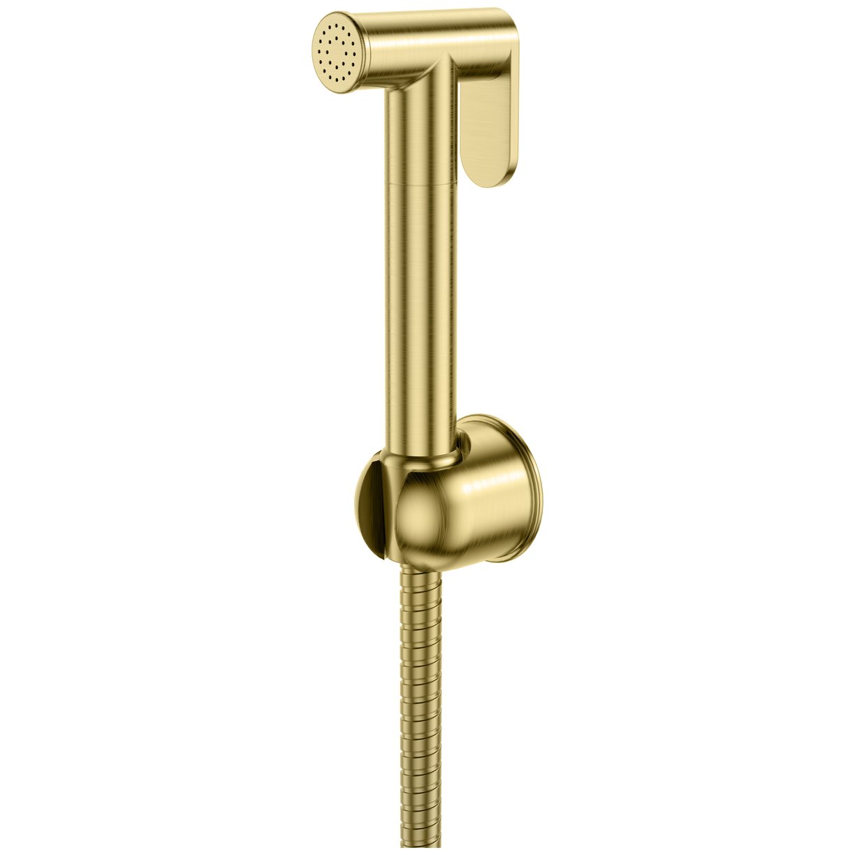 Douche Handset, Flexi, Holder & Outlet Elbow