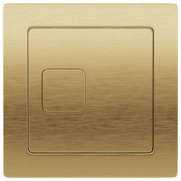 Dual Flush Plate Square