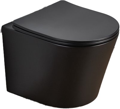 Capri Wall Hung WC Pan & Seat