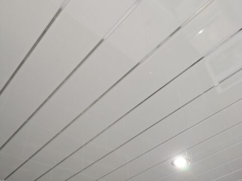 Ceiling Panels