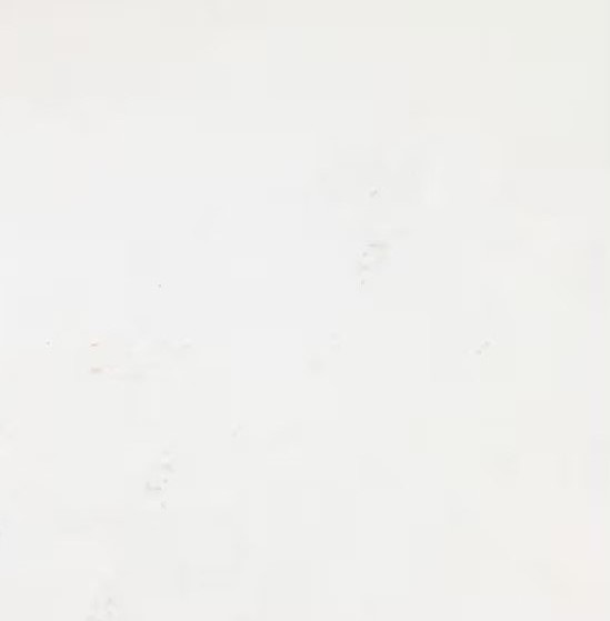 Rivoli (80 x 80cm)