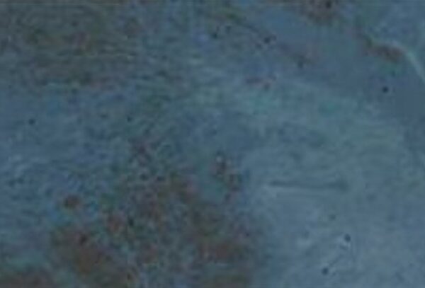 Fiji Blue (10 x 20cm)