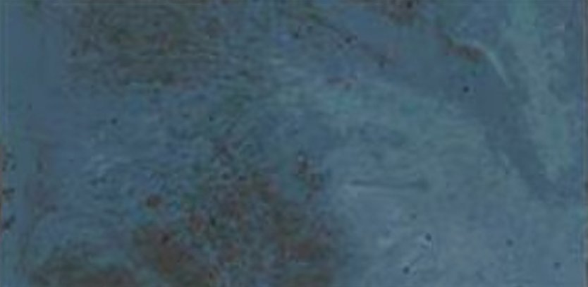 Fiji Blue (10 x 20cm)