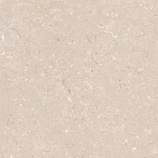 Coral Caliza L (44.3 x 44.3cm)