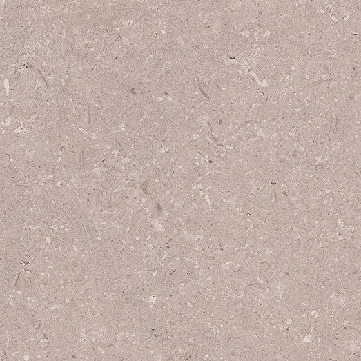 Coral Topo L (44.3 x 44.3cm)