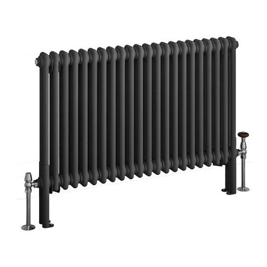 Imperia 2 Column Radiator 600 x 1010mm