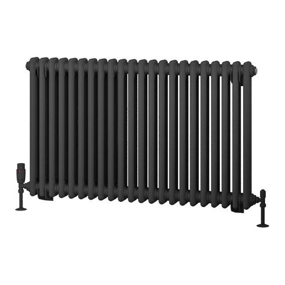 Rivassa 2 Column Radiator 600 x 1010mm