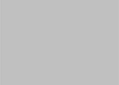 Baltico Light Grey Decor (30 x 60cm)