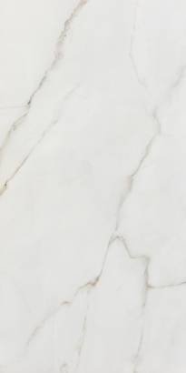 Calacata Gold White Matt (30 x 60cm)
