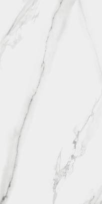 Carrara Grey Shiny (30 x 60cm)