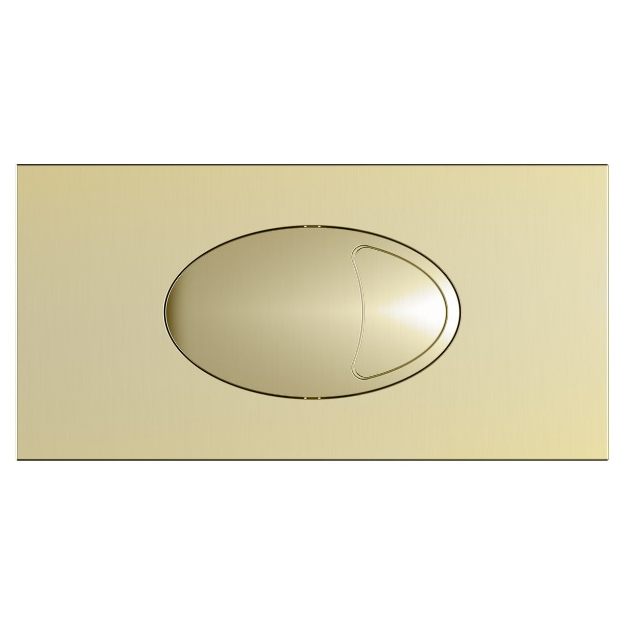 Large Dual Flush Plate & Access Panel