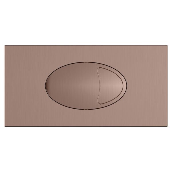 Large Dual Flush Plate & Access Panel
