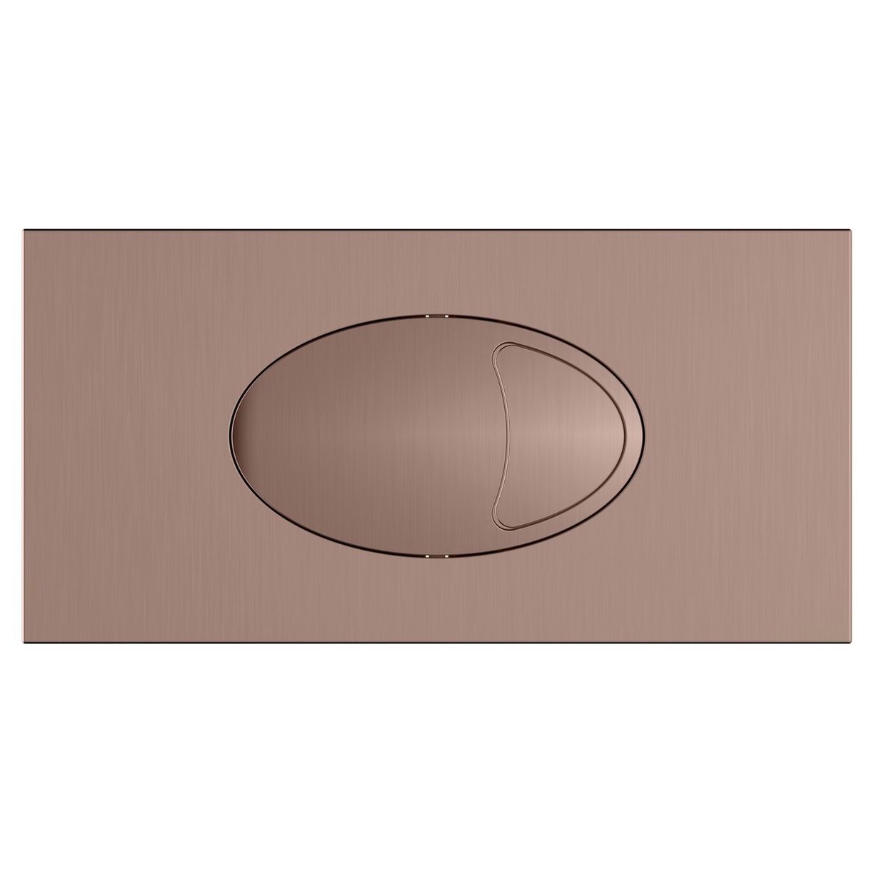 Large Dual Flush Plate & Access Panel