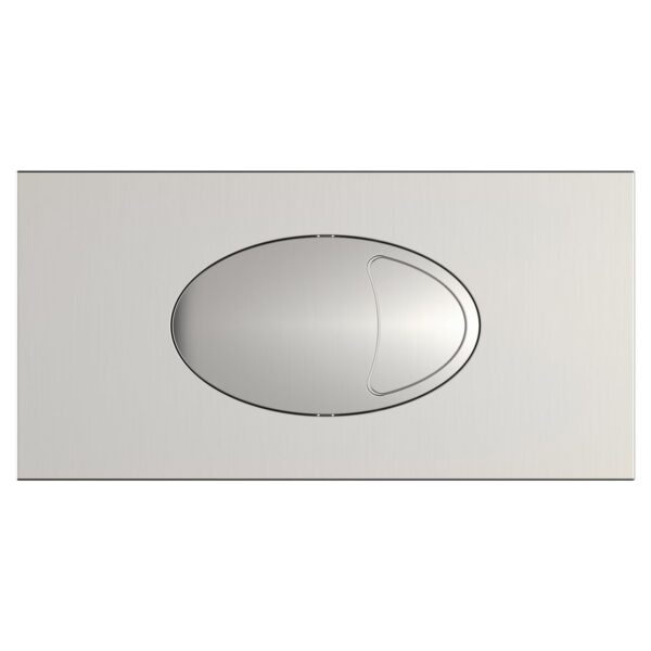 Large Dual Flush Plate & Access Panel