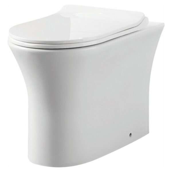 Deia Rimless Comfort Height Back To Wall Pan & Soft Close Seat