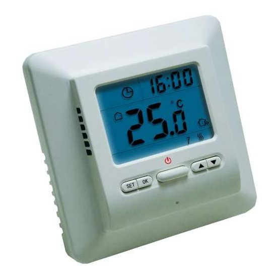 Sunstone Thermostat Including Probe